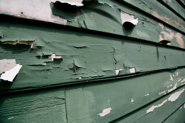 Best Property Management Cleanouts  in New Haven, IN