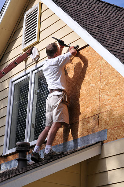 Best Construction Debris Removal  in New Haven, IN